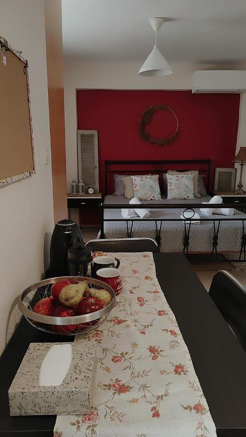 Amaltheia Studio Apartment Ioannina Exterior photo
